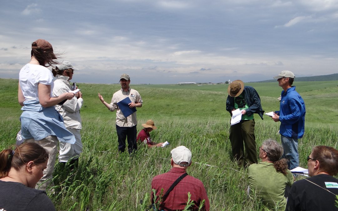 Get involved in one of Wisconsin’s many great citizen science opportunities