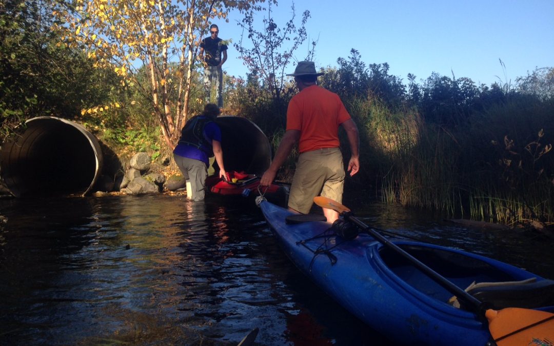 Day I: Beaver dams and heavy boats (Sunday, Sept. 27)