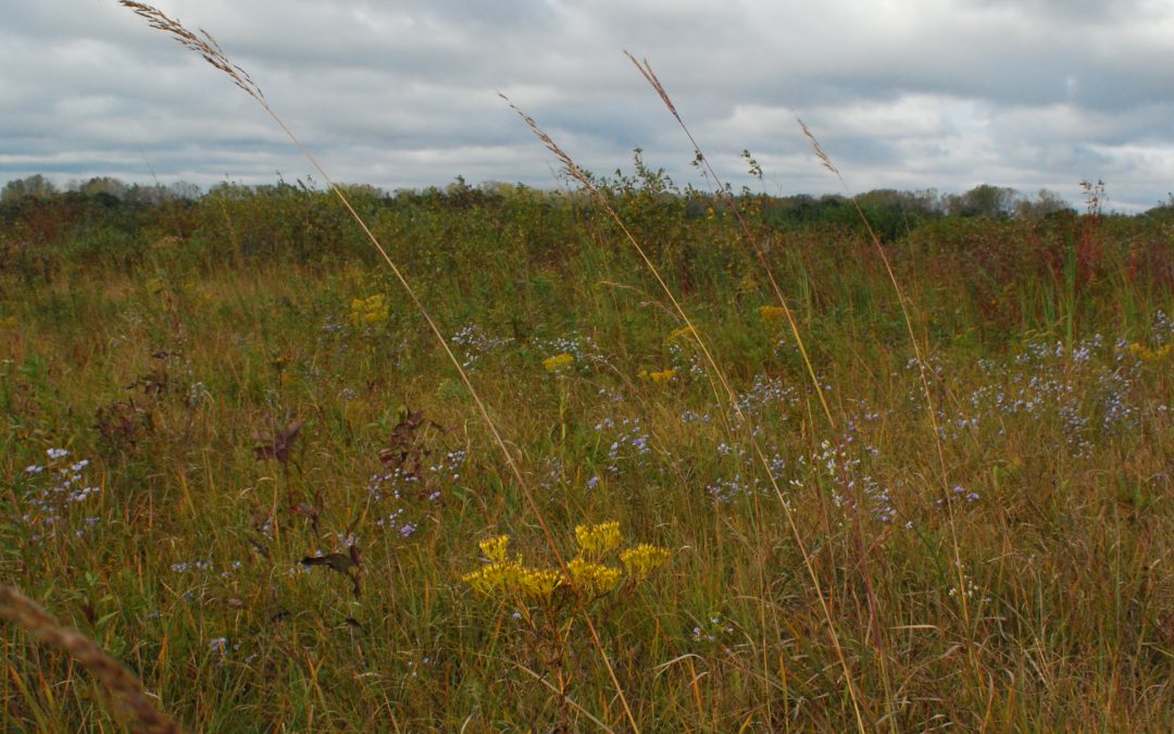 Celebrating Wisconsin’s Wetlands of International Importance