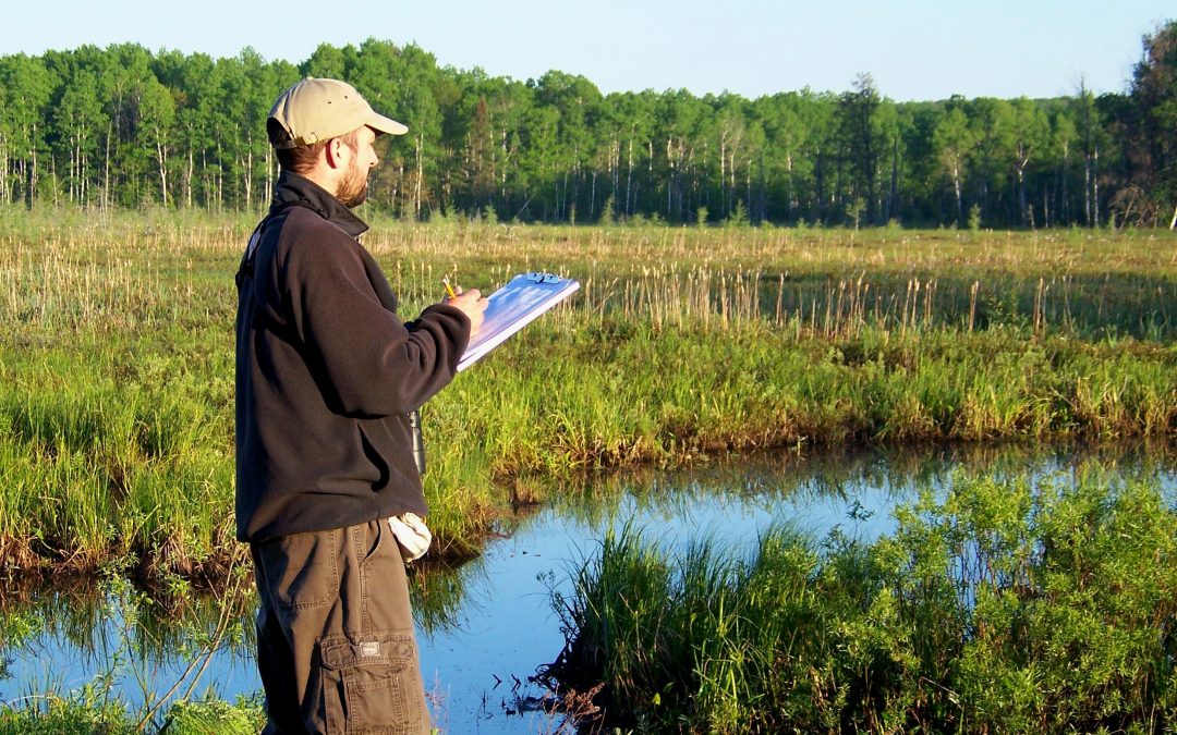 The thrill of…counting birds