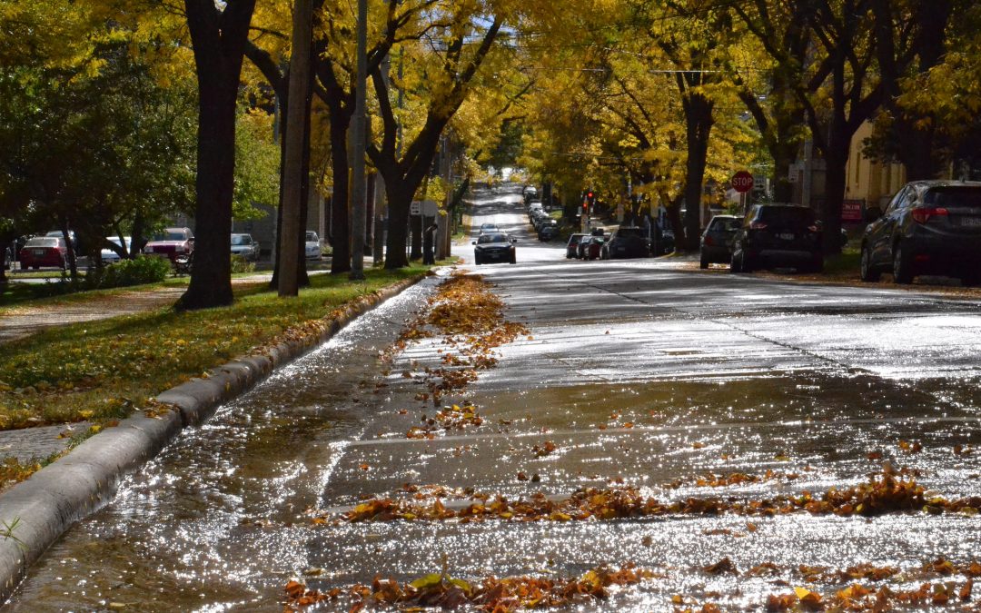 Keeping leaves (and nutrients!) out of our streets and lakes