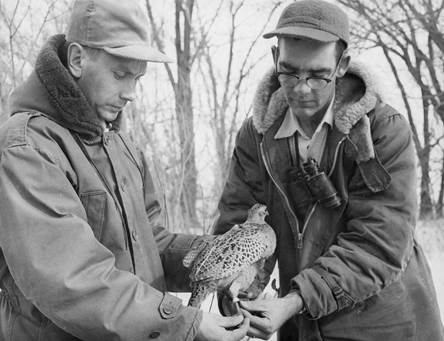 Origins: Creating the Natural Resources Foundation of Wisconsin