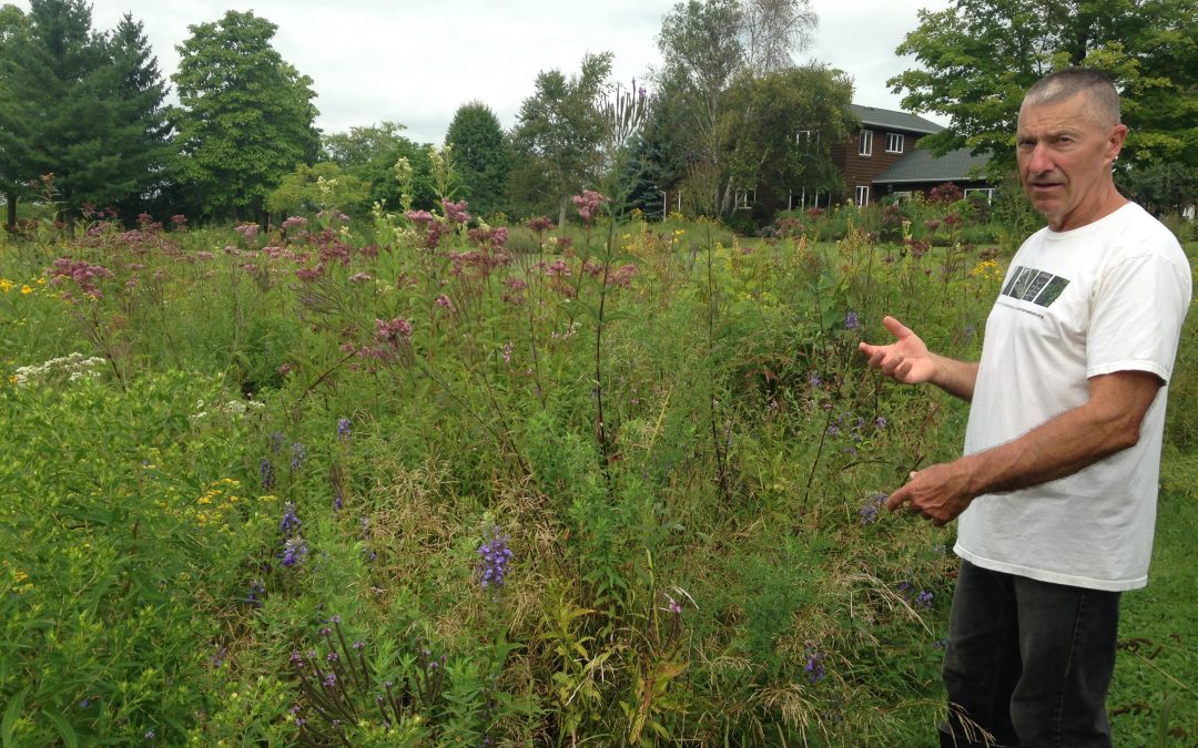 Wetland Restoration in Wisconsin: A private landowner tells his story