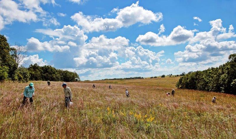 2017 Field Trip Photo contest winner Jerry Newman_Muralt Bluff Prairie seed collecting