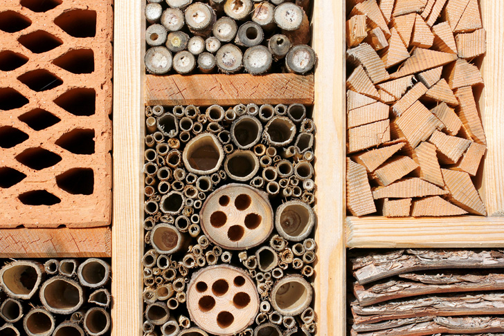 Close up of insect motel compartments