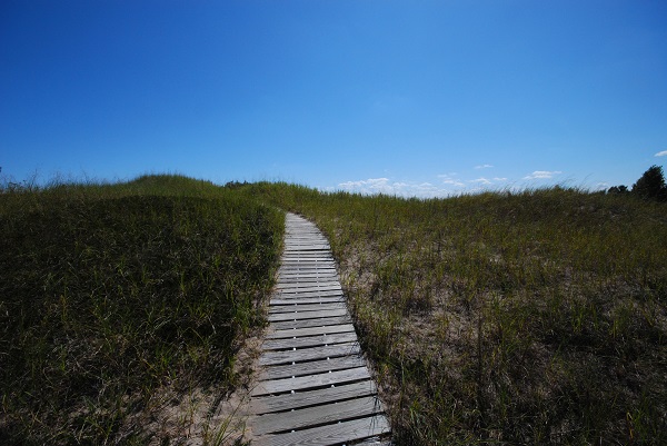 Kohler Park Dunes SNA Boardwalk_Joshua Mayer-small