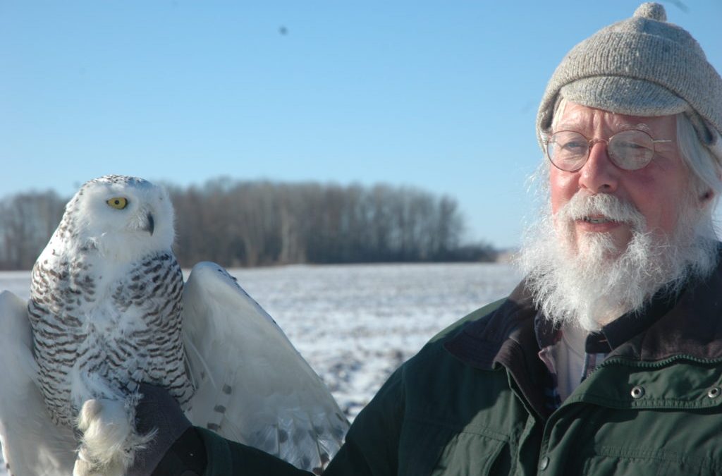 Tracking Wisconsin Snowy Owls