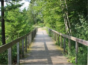 a flat bridge with forest on either side