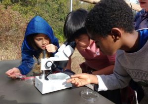 Kids With Telescope 768x540