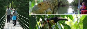 Travel to Costa Rica with Holbrook and the Natural Resources Foundation of Wisconsin