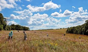 Muralt Bluff Prairie Seed Collecting By Jerry Newman