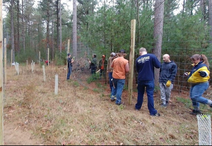 Boston School Forest Deer Exclosure Fence. Photo by Karla Lockman