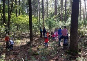 Children learning in the forest as part of Project Wild Child. Photo by Project Wild Child, Rio, Wisconsin.