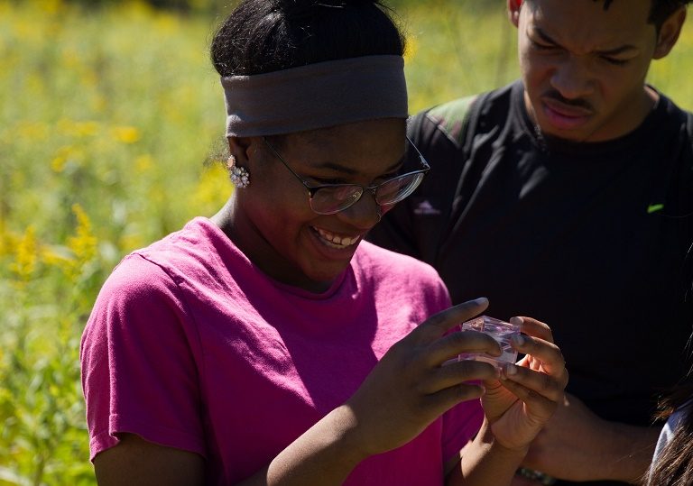 Diversity in Conservation