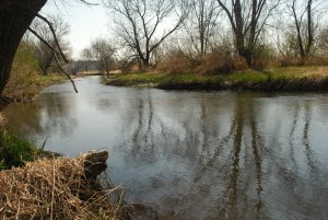 Sugar River SNA. Photo by Joshua Mayer.