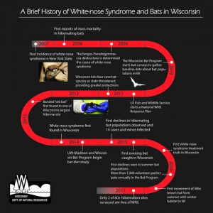 History of white-nose syndrome. Created by WDNR Bat Program.