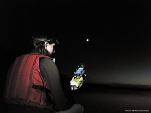 Acoustic bat monitoring with Wisconsin DNR