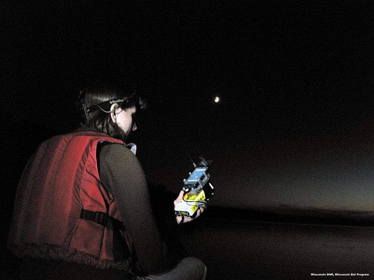 Acoustic bat monitoring with Wisconsin DNR