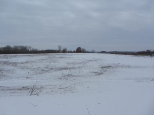 Faville Prairie after invasive removal Feb2018