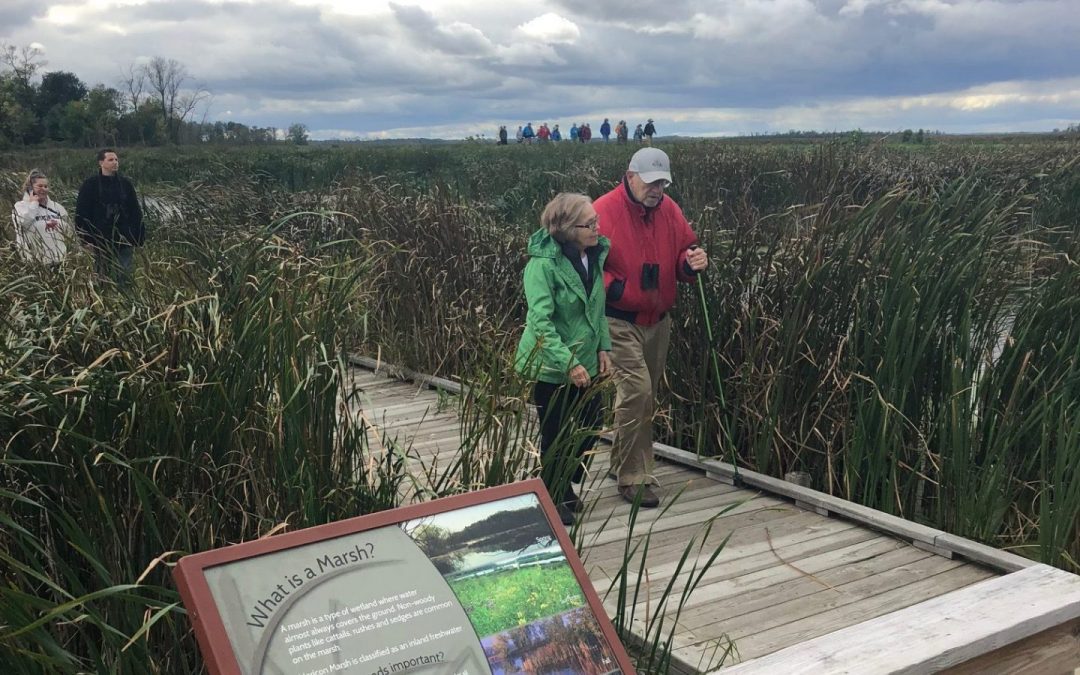 Ron And Ann Semmann on a Horicon Marsh Field Trip in 2018. Photo by Mark LaBarbera