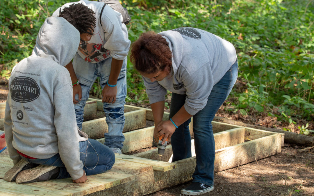 Volunteers building in nature at the Groundswell Conservancy