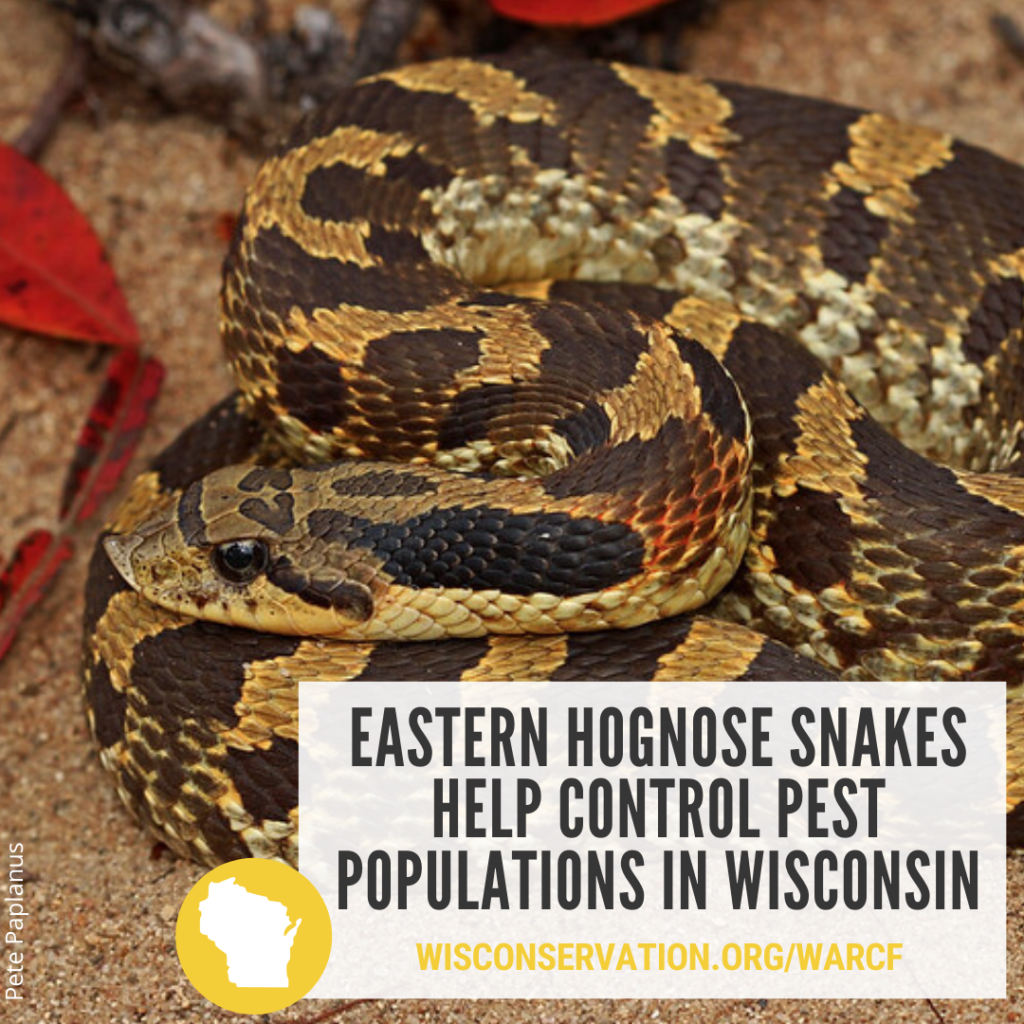 The Wisconsin Amphibian and Reptile Conservation Fund Natural