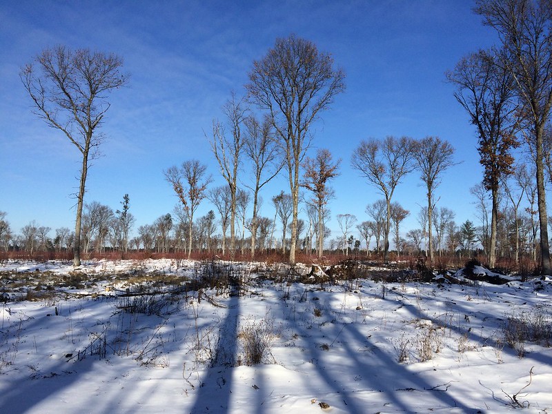 DNR Quincy Bluff and Wetlands Fund