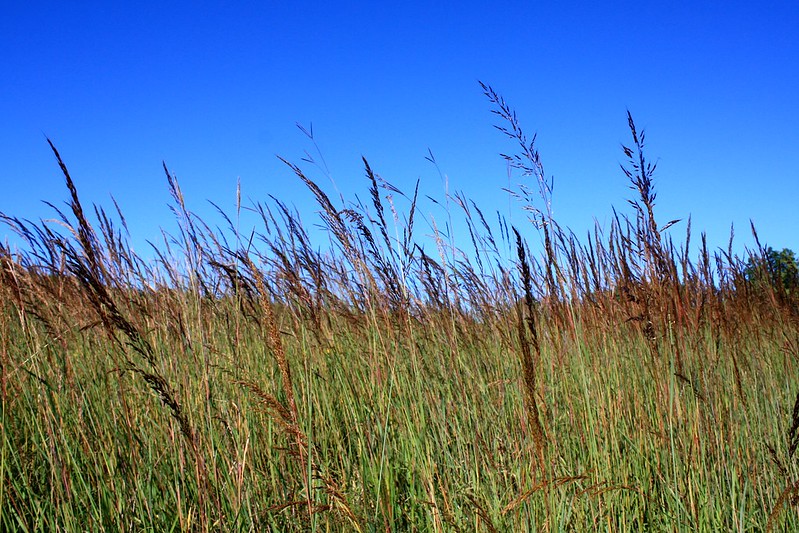 Cherokee Marsh Conservation Fund