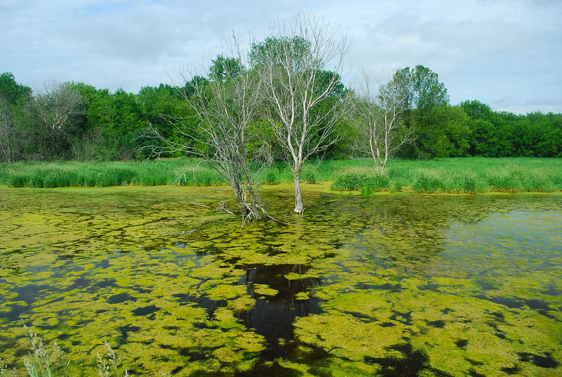 Jefferson County Parks Endowment