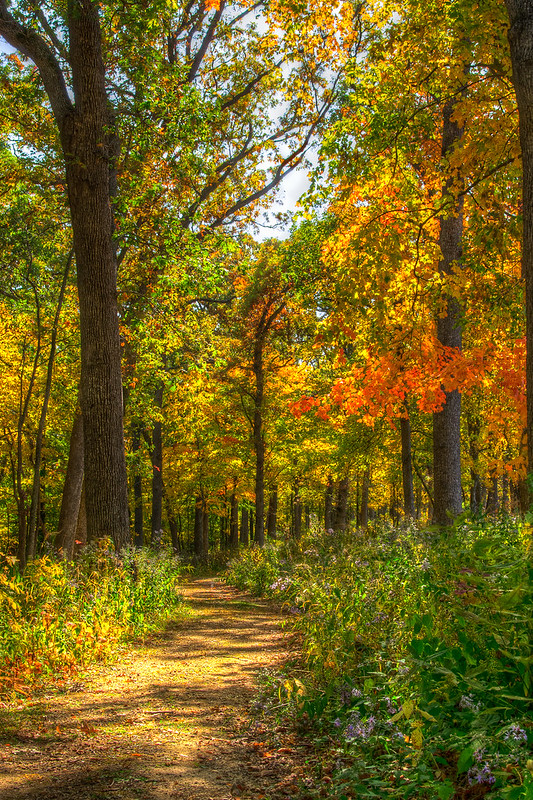 Friends of Wyalusing State Park Endowment Fund