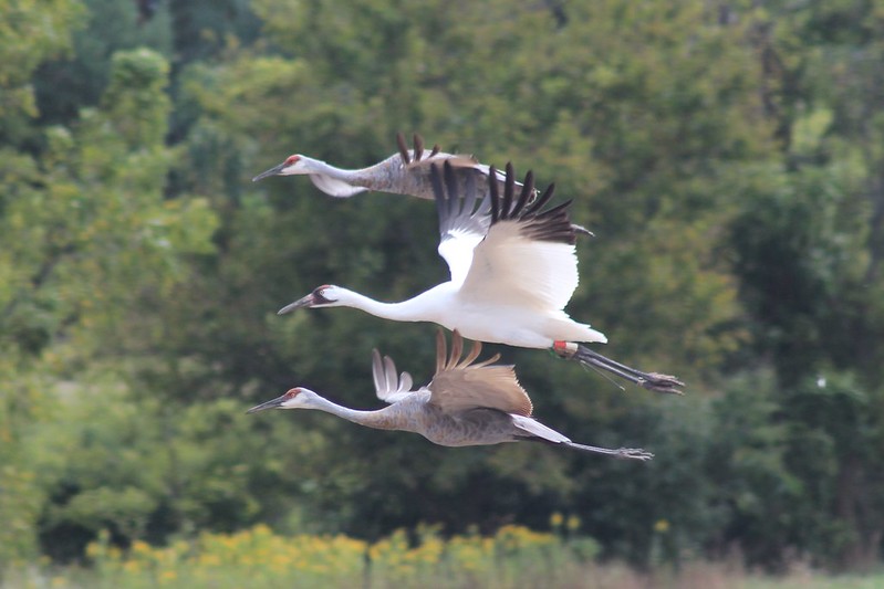 Lower Wisconsin State Riverway Fund