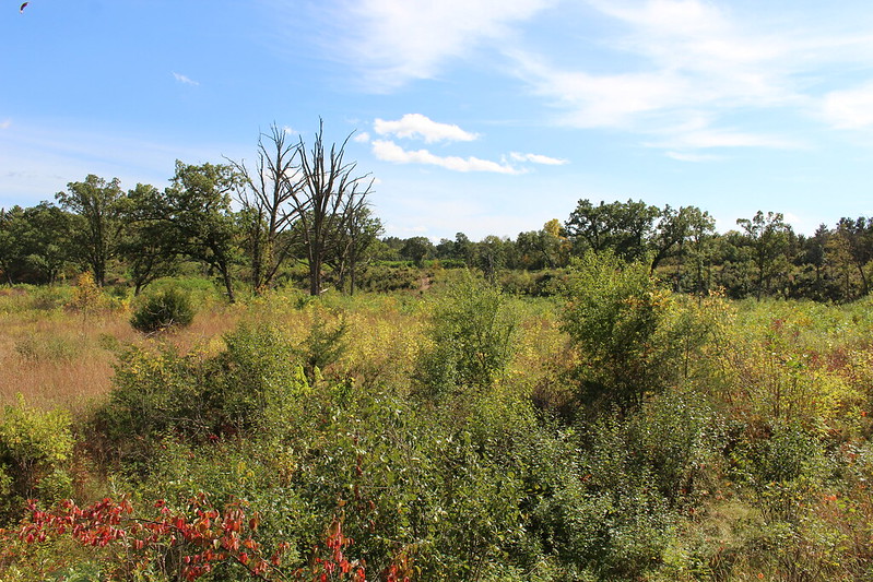 Lower Chippewa River Basin Conservation Fund