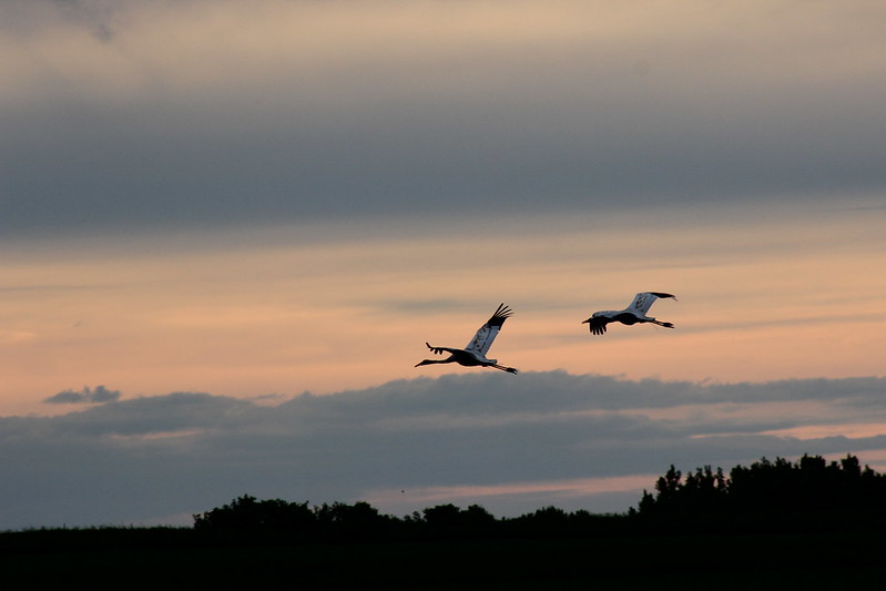 Friends of Wisconsin State Parks Fund