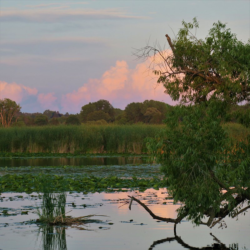 Friends of Horicon Marsh International Education Center Endowment Fund