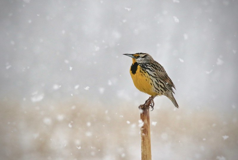 Wisconsin’s Climate Response Fund