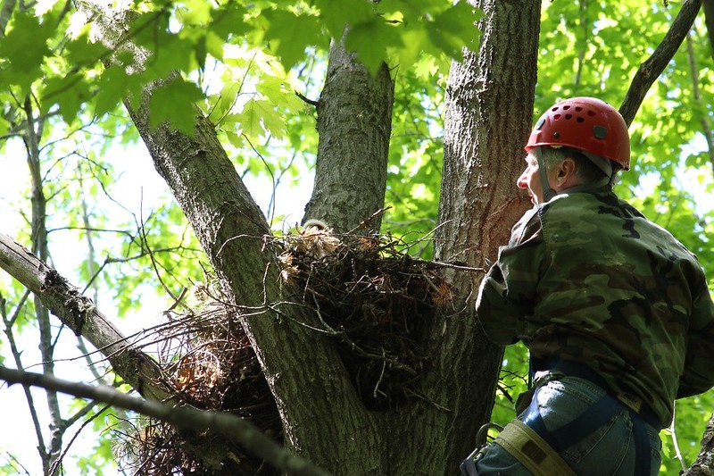 Marilyn Deutsch Hampton Wildlife Rehabilitation Fund