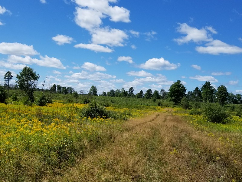 Cherish Wisconsin Outdoors Fund