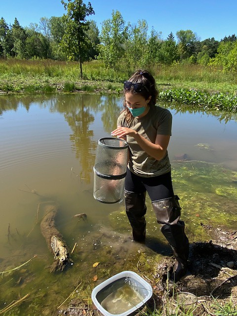 C.D. Besadny Conservation Fund