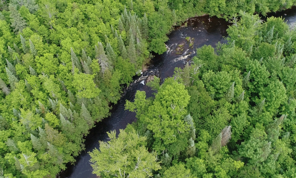 Preserving Wisconsin’s Iconic Northwoods: Tyler Forks Community Forest