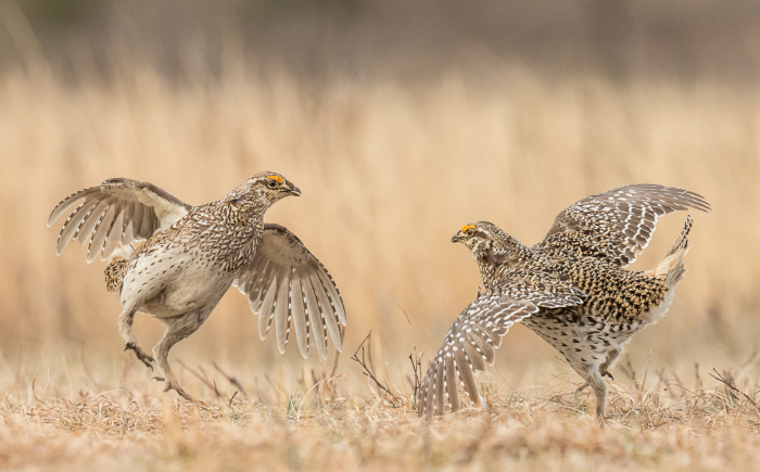 2020 Photo Contest Winners