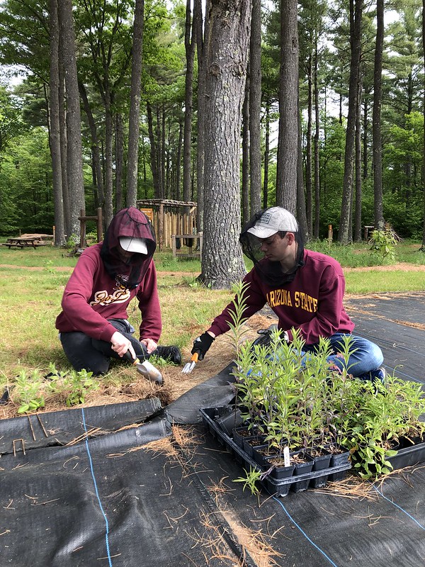 The Dorothy Rose Bake Endowment Supporting NLDC Citizen Science