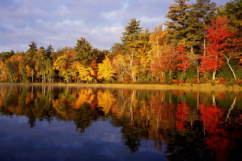 The Tom & Barbara Olson Endowment in Support of North Lake Discovery Center Nature Education