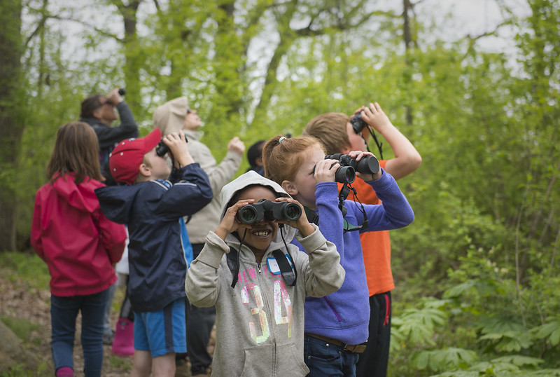 Bringing the Birdathon to Your Classroom