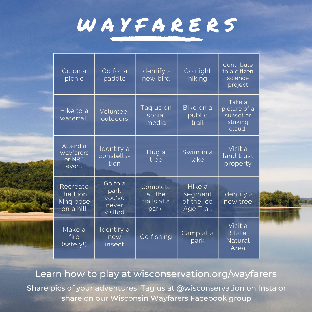 Wayfarers Summer BINGO Card FINAL