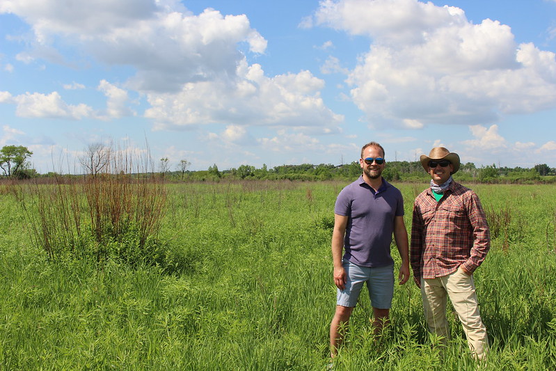 Sweet, sweet habitat: Restoring the Sugar River Wetlands