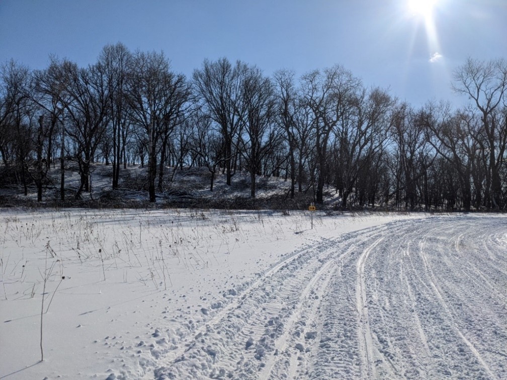 Oak Savanna Bridget Rathman WI DNR