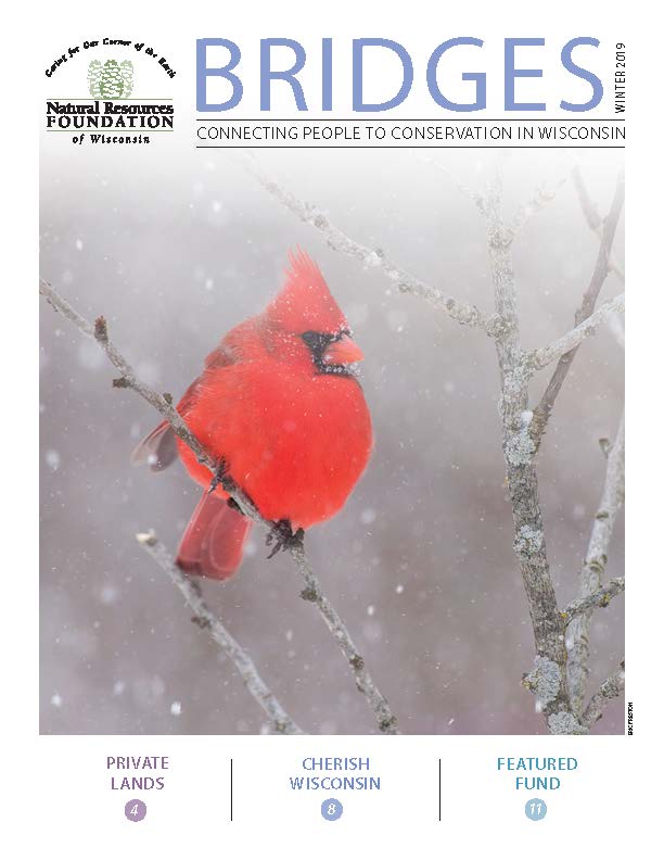 cropped bridges winter 2019 cover