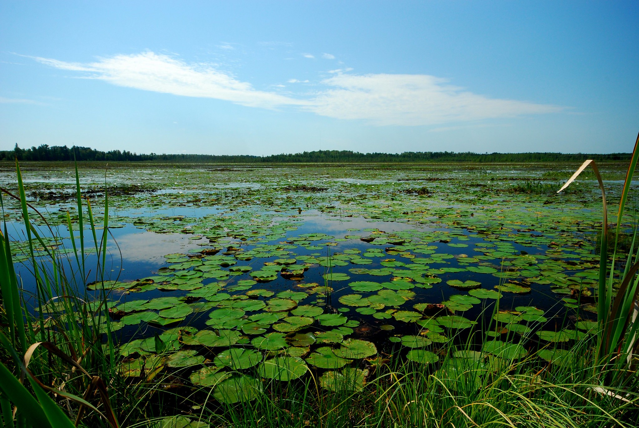 Spur Lake Oneida County Joshua Mayer