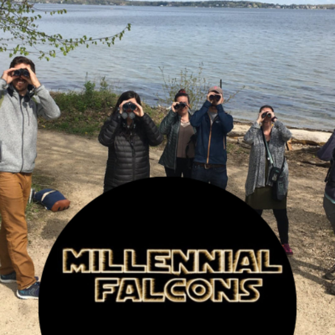 Wayfarers Millennial Falcons