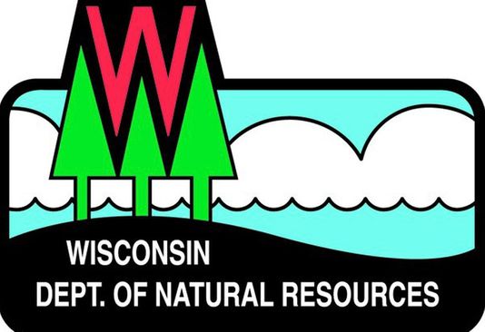 wisconsin department of natural resources logo with three conifers and blue water and sky